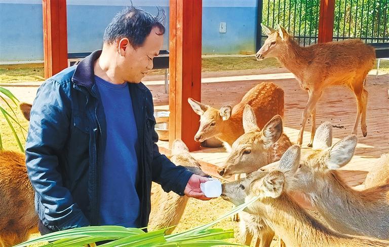 发展产业调研】林下生金mg不朽情缘【高质量
